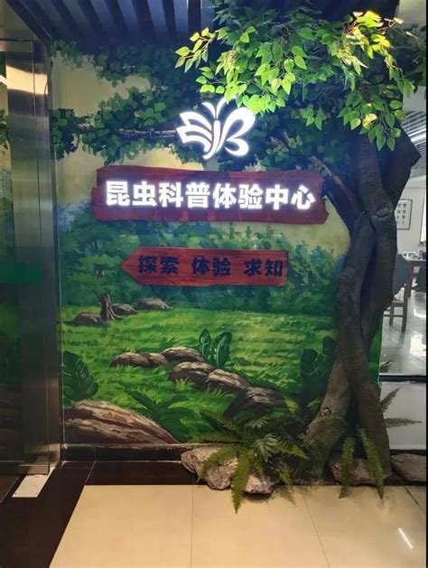 青山湖区图书馆开展昆虫科普推广活动 - 青山湖区人民政府