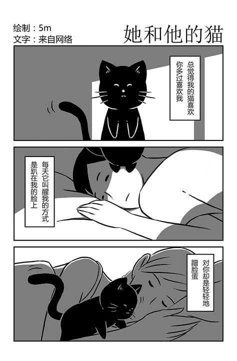 她和他的猫|动漫|短篇/四格漫画|5ming - 原创作品 - 站酷 (ZCOOL)