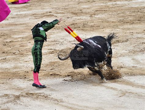 在西班牙斗牛与公牛高清图片下载-正版图片505574071-摄图网
