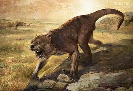 史前澳大利亚掠食者——袋狮--中国数字科技馆