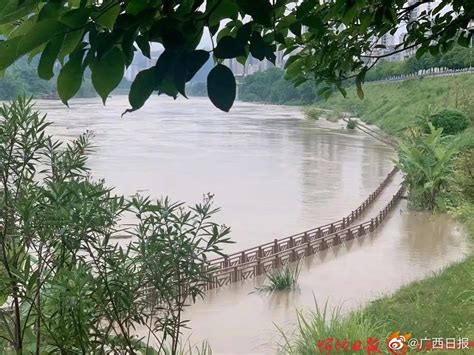 危险勿近！河池宜州出现今年入汛以来最大洪水|洪水|河池市|强降雨_新浪新闻