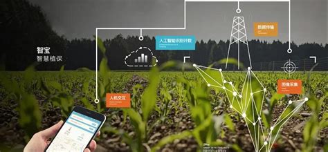 发展中的“互联网+生态农业” - 行业新闻 - 北京东方迈德科技有限公司