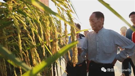 悼念袁隆平 | 他带着梦的种子去了远方 - MBAChina网