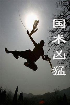 武夫凶猛(走过青春岁月)最新章节全本在线阅读-纵横中文网官方正版