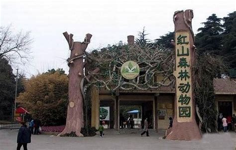 2019红山森林动物园_旅游攻略_门票_地址_游记点评,南京旅游景点推荐 - 去哪儿攻略社区