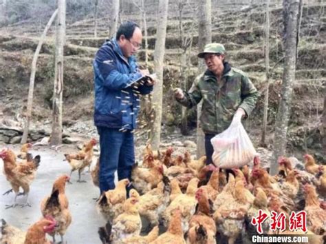 【年度重点工作落实】永堌镇对畜禽养殖场进行全面排查_萧县人民政府