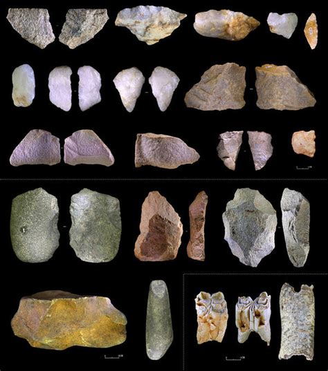 走进石器时代 ——漫谈石器技术的演进 - 重庆考古