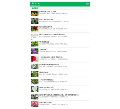花卉网站网页界面UI设计_ABNeiNei-站酷ZCOOL
