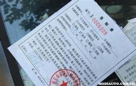 杭州小伙失联50天，获救后拒交5000元罚款：非法穿越无人区，我是初犯！