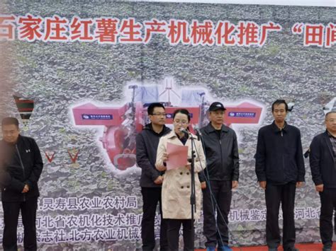 晶白玉 - 异形、栏杆 - 产品展示 - 河北省灵寿县沁坤石材有限公司