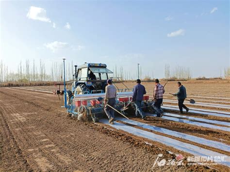 温宿：智能农机助力春播 -天山网 - 新疆新闻门户