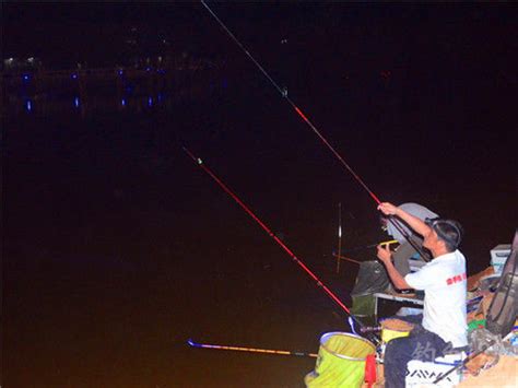 夏季夜钓选位经验与手竿海竿作钓技巧_钓鱼人必看