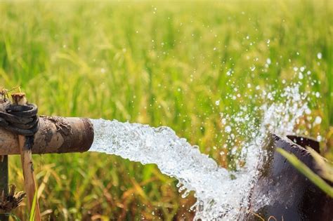 园林绿化灌溉有哪几种灌溉方式呢-上海绿友灌溉设备有限公司