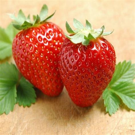 她是远近闻名的草莓种植能手，被乡亲们誉为“灯塔女人”_澎湃号·政务_澎湃新闻-The Paper