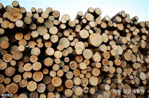 相思木是什么木材?_行业资讯_木头云