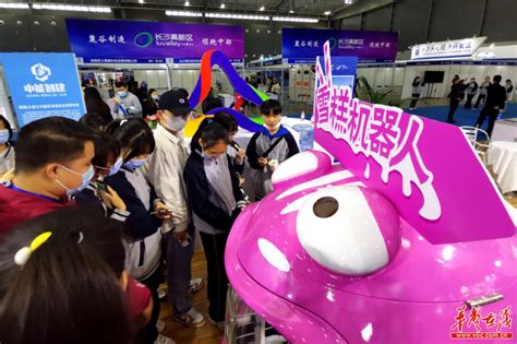 2020年中部(长沙)人工智能产业博览会拉开帷幕 - 资讯 - 新湖南