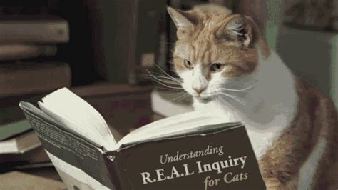 有哪些可以了解猫的网站或者视频或者书一类的（关于猫或者养猫的任何知识都可以）？ - 知乎