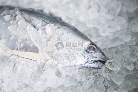 在市场中的冰鱼高清摄影大图-千库网