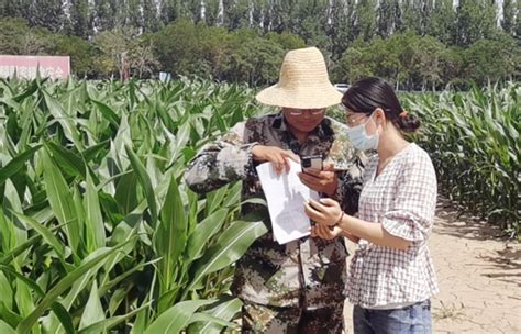吴忠国家农业科技园区科技赋能“三农”助发展