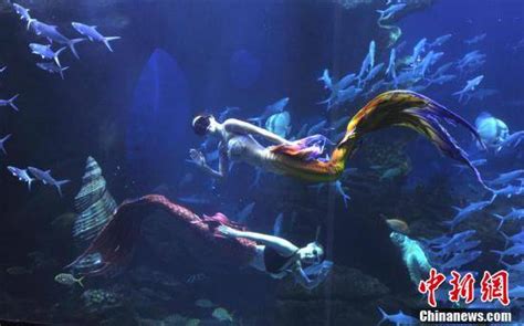 水下“美人鱼”舞姿引游客 - 封面新闻