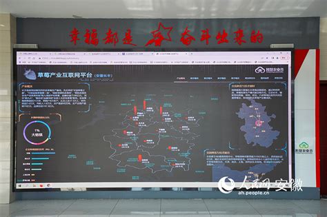 安徽省2021年卫星图-合肥市2021年卫星图-长丰县2021年卫星图-10米哨兵卫星图