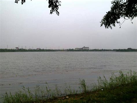 衡水：京津冀最美湿地衡水湖