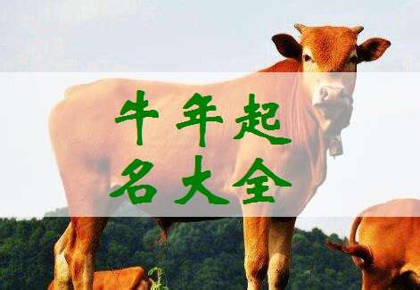 逸轩风水：生肖属牛的人，取名要注意哪些禁忌？