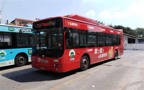 广州史上最神奇的公交车！每站都是吃玩胜地！ - 知乎
