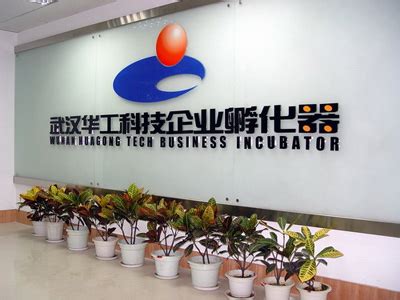 IC孵化器 - 武汉集成电路设计工程技术有限公司