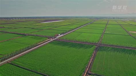 内蒙古耕地种植农作物摄影图高清摄影大图-千库网