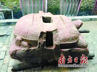 日本石龟：会爬行的五色石