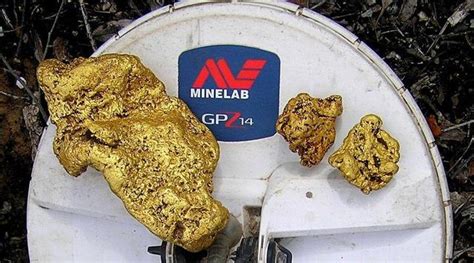 澳洲男子用廉价探测器“淘金”，挖到4.6公斤金块，价值165万元