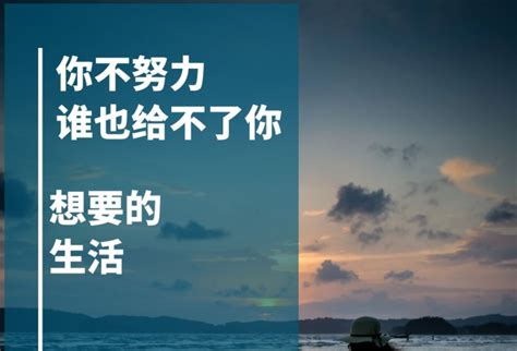 宫崎骏新作《你想活出怎样的人生》首曝海报