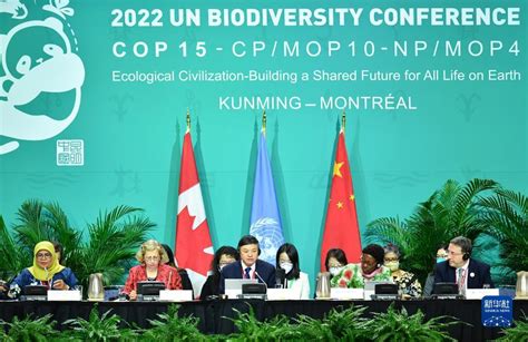 《生物多样性公约》第十五次缔约方大会第二阶段高级别会议开幕_时图_图片频道_云南网