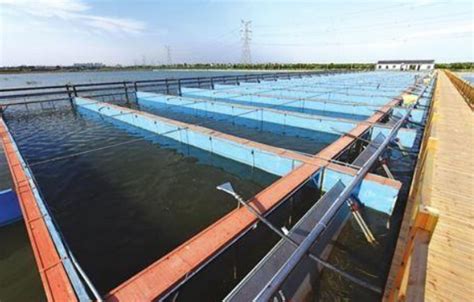 水产养殖水处理中的养水技术 - 水产养殖网