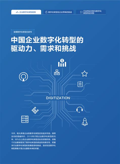 中国企业数字化转型白皮书（附下载）_研究_数邦客