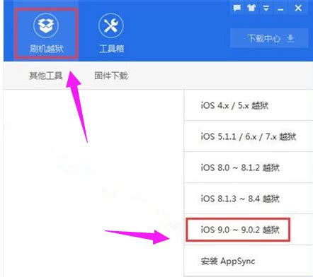 苹果13 11 8p 12 15手机越狱iphone ipad fugu15平板软件刷机 un_虎窝淘