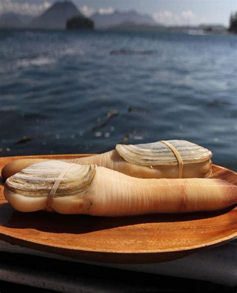 世界十大名贵海鲜排行榜，澳洲帝王蟹仅仅排在第二！你吃过几个？