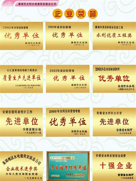 潘坤鹏 - “E起‘巢’这看”安徽巢湖经济开发区形象（LOGO）征集活动网络投票