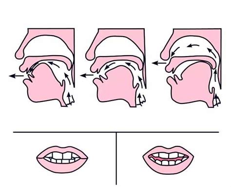 前鼻音和后鼻音韵母表读音 前鼻音和后鼻音韵母表图