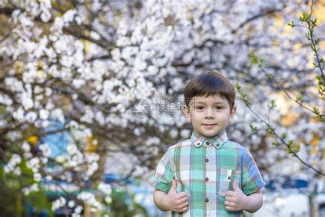 春天的幼儿男孩在花树附近微笑高清图片下载-正版图片505078438-摄图网