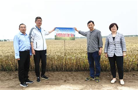 大学科技园技术团队深入郸城国家农高区生物菌肥试验推广基地开展技术推广服务