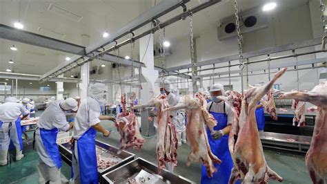 全球红肉、加工肉类贸易增长导致饮食相关疾病急剧增加_澎湃号·湃客_澎湃新闻-The Paper
