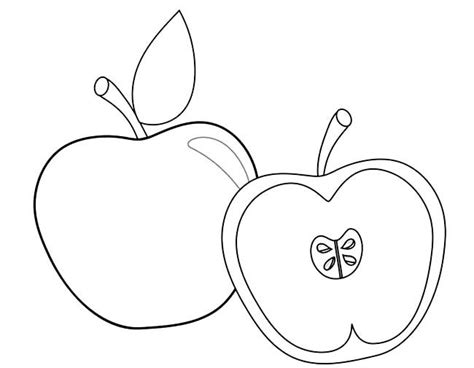 好看容易的苹果树上色简笔画要怎么画