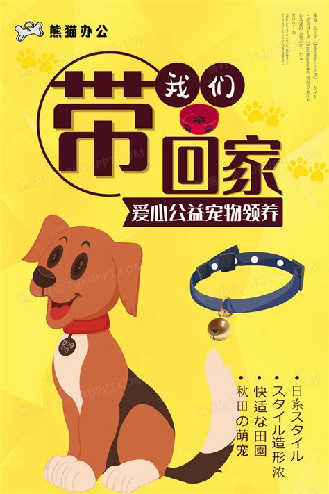 宠物领养海报模板图片素材_公益宣传图片_海报图片_第6张_红动中国