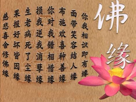 佛教23句经典禅语，感恩所有的遇见，感恩从心开始！