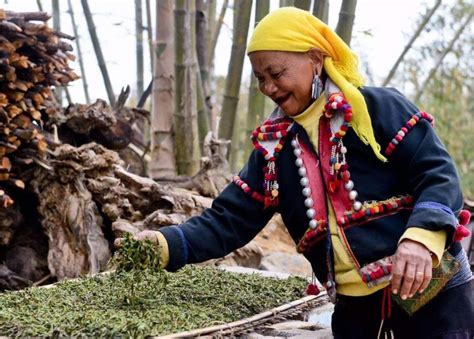 国际茶日|视频带你领略普洱景迈山古茶林文化景观