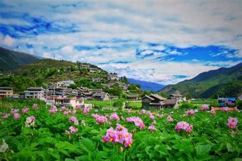 三个领域重点发力九龙县脱贫攻坚成效显著 - 甘孜藏族自治州人民政府网站