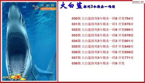 排列3第23038期大白鲨今期杀一码图（原创）_天齐网