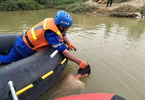 悲剧！温州一男子在水坝中溺亡_手机新浪网